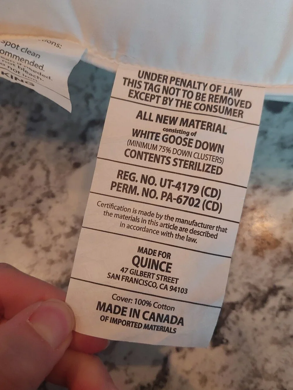 NWOT! Quince White Goose Down Pillow- King (Medium/ Firm)(P1)